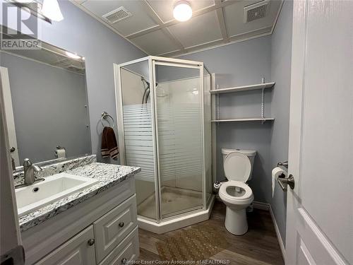 3237 Seville, Windsor, ON - Indoor Photo Showing Bathroom