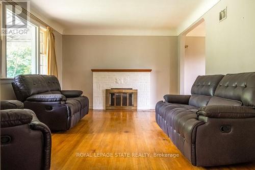 11 Cameron Drive, Hamilton, ON - Indoor Photo Showing Living Room With Fireplace