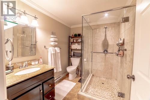 26 Petite Forte Drive, St. John'S, NL - Indoor Photo Showing Bathroom