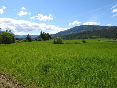 1144 Tappen Valley Road, Tappen, BC - Outdoor With View