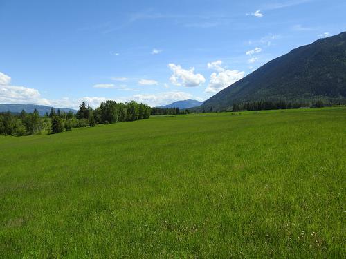 1144 Tappen Valley Road, Tappen, BC - Outdoor With View