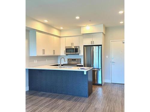 208-525 Third St, Nanaimo, BC - Indoor Photo Showing Kitchen With Stainless Steel Kitchen