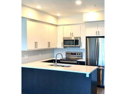 208-525 Third St, Nanaimo, BC - Indoor Photo Showing Kitchen With Stainless Steel Kitchen With Double Sink With Upgraded Kitchen