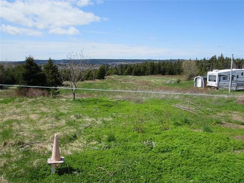 113 Point Road, Chapel'S Cove, NL 