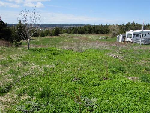 113 Point Road, Chapel'S Cove, NL 