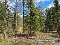 Land/Lot - 