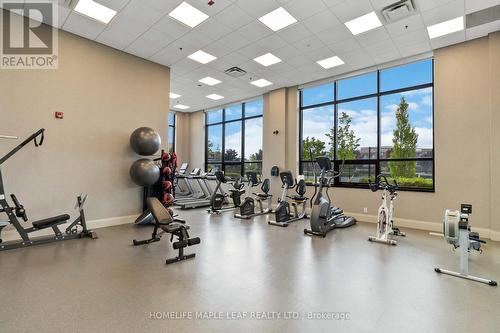 206 - 65 Via Rosedale Way, Brampton (Sandringham-Wellington), ON - Indoor Photo Showing Gym Room