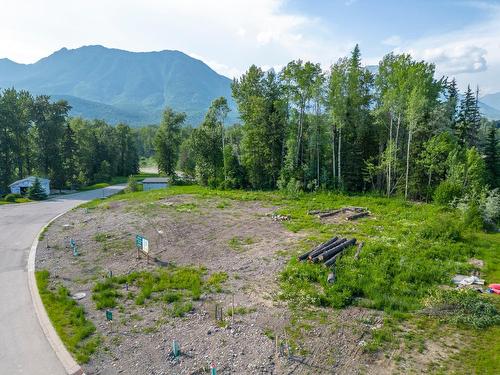 111 Whitetail Drive, Fernie, BC 