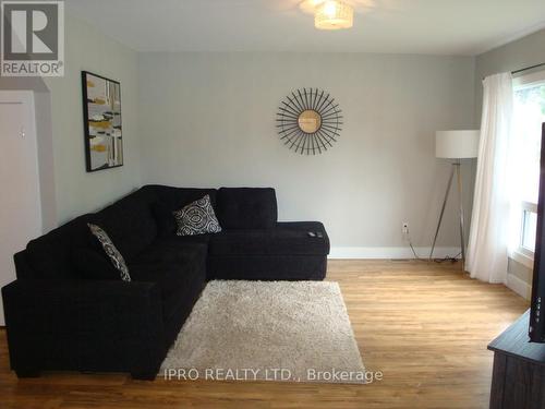 392 Niagara Street, Welland, ON - Indoor Photo Showing Living Room