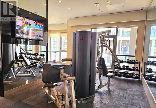 208 - 17 Zorra Street, Toronto W08, ON - Indoor Photo Showing Gym Room