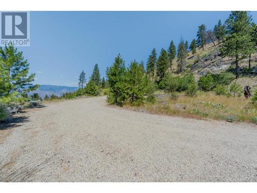 284 Long Joe Road, Osoyoos, BC - Outdoor With View