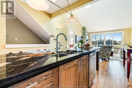 19 Montego Bay Crescent, Kingsville, ON - Indoor Photo Showing Kitchen With Double Sink With Upgraded Kitchen