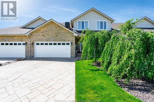 19 Montego Bay Crescent, Kingsville, ON - Outdoor