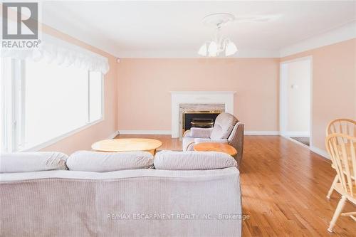 13 New Mountain Road, Hamilton, ON - Indoor Photo Showing Living Room With Fireplace