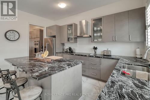 61 Cattail Crescent, Hamilton, ON - Indoor Photo Showing Kitchen With Double Sink With Upgraded Kitchen