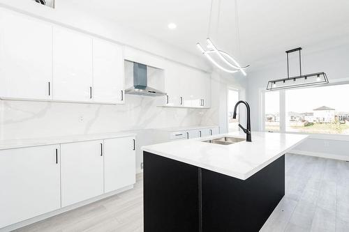 820 Turnberry Cove, Niverville, MB - Indoor Photo Showing Kitchen With Double Sink