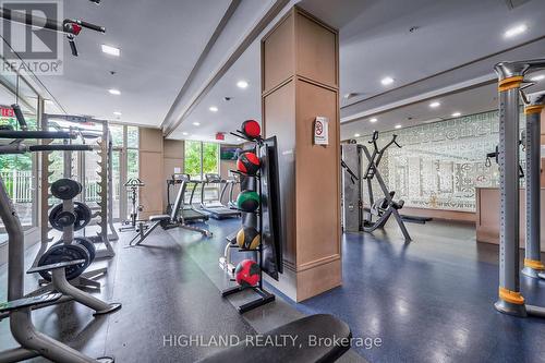 316 - 2480 Prince Michael Drive, Oakville, ON - Indoor Photo Showing Gym Room