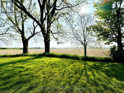 Sunrise at the rear of the property - 34684 Lieury Road, North Middlesex (Parkhill), ON - Outdoor With View