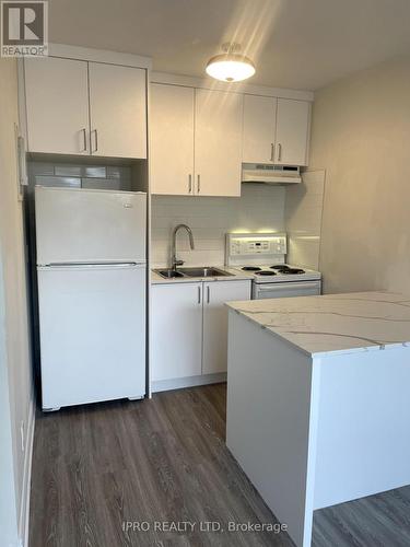 46 Twenty Second Street W, Toronto, ON - Indoor Photo Showing Kitchen With Double Sink