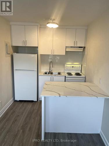 46 Twenty Second Street W, Toronto, ON - Indoor Photo Showing Kitchen With Double Sink