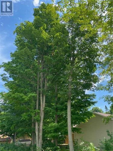 Tall maple trees on right rear of lot - 4 Adley Drive, Brockville, ON 