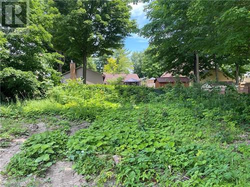 Rear of property, not foliage that blocks out rear neighbour's yard. - 4 Adley Drive, Brockville, ON 