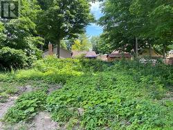 Rear of property, not foliage that blocks out rear neighbour's yard. - 