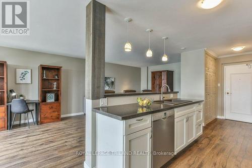 1001 - 570 Proudfoot Lane, London, ON - Indoor Photo Showing Kitchen With Double Sink With Upgraded Kitchen