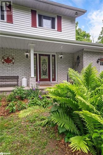 121 Spry Road, Stirling, ON - Outdoor