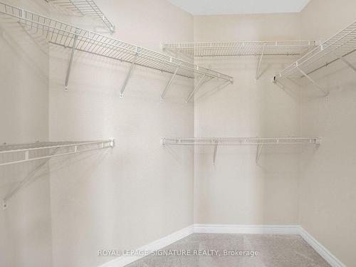 52-52 Dolomiti Crt, Hamilton, ON - Indoor With Storage