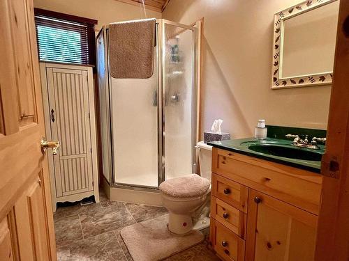 59 Poplar Bay, Kenora, ON - Indoor Photo Showing Bathroom