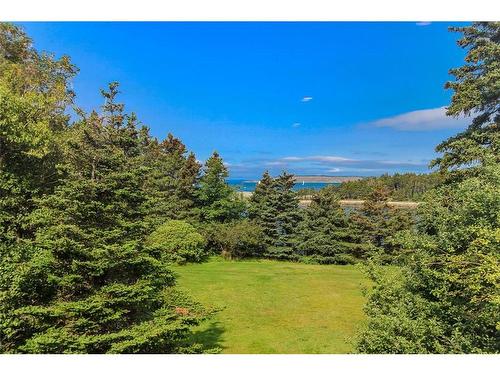 51 Windy Cove Lane, Conception Bay South, NL 