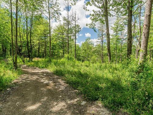 Exterior - 475 Ch. Du Sanctuaire, Sherbrooke (Fleurimont), QC - Outdoor With View