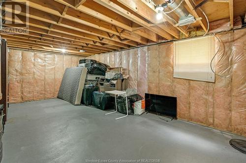 3169 Clemenceau Boulevard, Windsor, ON - Indoor Photo Showing Basement