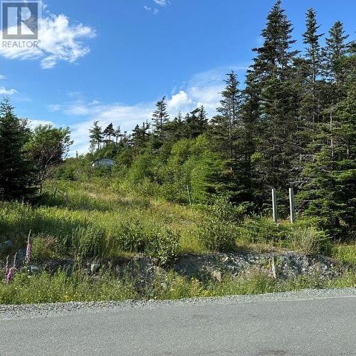 638 Indian Meal Line, Portugal Cove-St. Philips, NL 