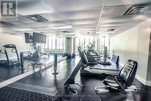 Ph 13 - 125 Wilson Street W, Hamilton, ON - Indoor Photo Showing Gym Room