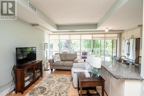 Ph 13 - 125 Wilson Street W, Hamilton, ON - Indoor Photo Showing Living Room