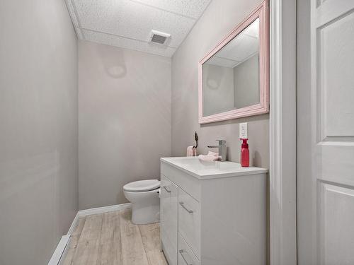 Powder room - 1280 Rue Piché, Mont-Tremblant, QC - Indoor Photo Showing Bathroom