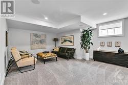 finished basement family room and generous storage and utility space - 