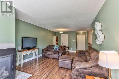 313 - 9 Jacksway Crescent, London, ON - Indoor Photo Showing Living Room With Fireplace