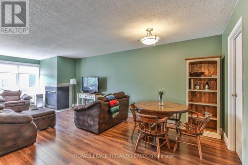 313 - 9 Jacksway Crescent, London, ON - Indoor Photo Showing Living Room