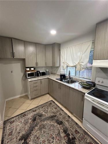 730 Queensdale Avenue E, Hamilton, ON - Indoor Photo Showing Kitchen With Double Sink