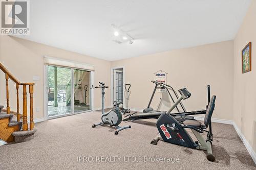 307254 Hockley Road, Mono, ON - Indoor Photo Showing Gym Room