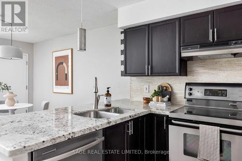 703 - 250 Manitoba Street, Toronto, ON - Indoor Photo Showing Kitchen With Double Sink With Upgraded Kitchen