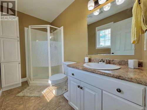 22 Pitcher Place, Clarenville, NL - Indoor Photo Showing Bathroom