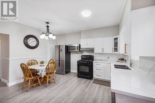 Kitchen - 58 Mackay Avenue, London, ON - Indoor Photo Showing Kitchen With Double Sink