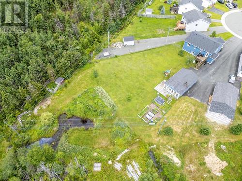 14 Butterworth Place, St. John'S, NL - Outdoor With View