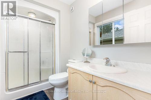 105 Glenariff Drive, Hamilton, ON - Indoor Photo Showing Bathroom