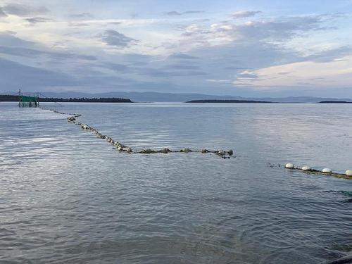 Waterfront - 28 Route Du Cap-Taché, Kamouraska, QC - Outdoor With Body Of Water With View