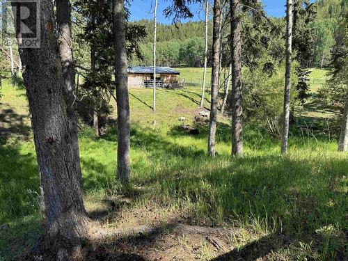 3445 Ponderosa Place, Williams Lake, BC - Outdoor With View